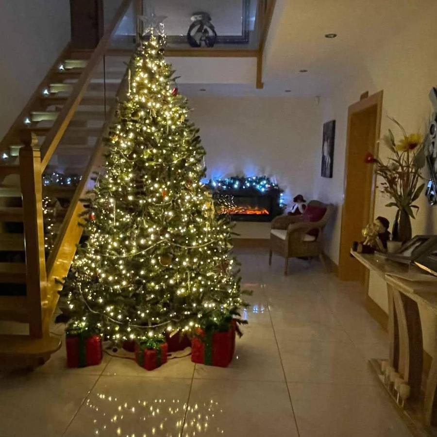 Woodview Bed & Breakfast Kilkeel Eksteriør bilde